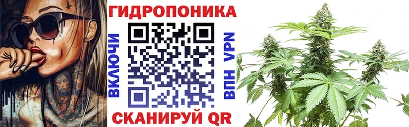 ГАШИШ Кольчугино