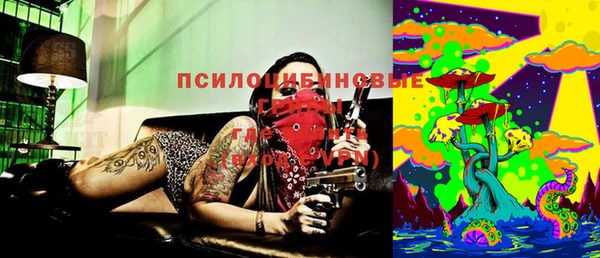 дурь Алексеевка