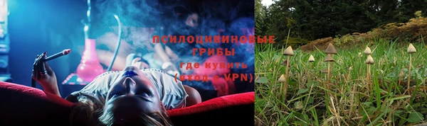 прущие крисы Алексин