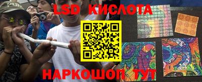 крисы Краснознаменск
