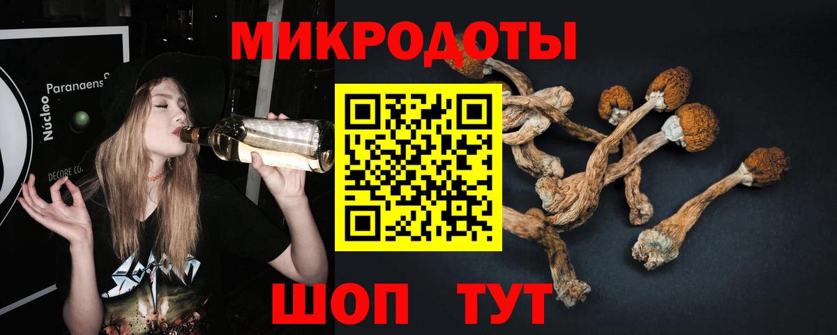 Кольчугино  Галлюциногенные грибы прущие грибы  Вход с VPN  Галлюциногенные грибы прущие грибы 